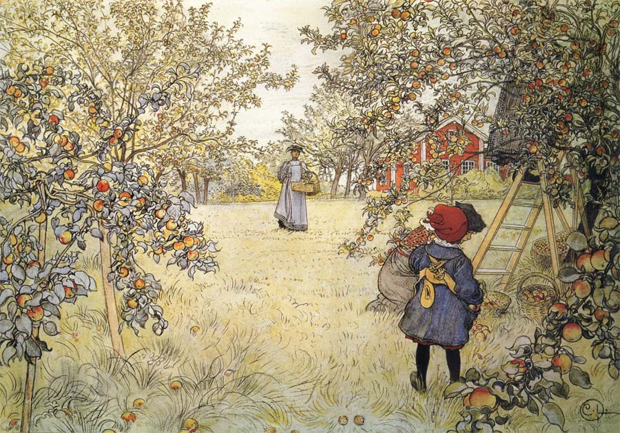 Apple Harvest